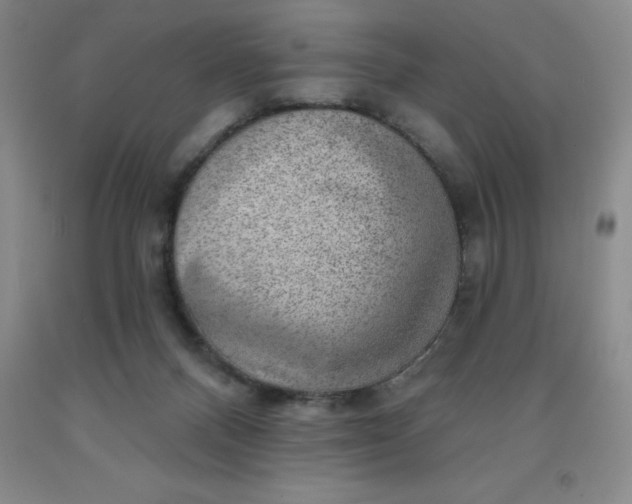 X0000092010120200709201538