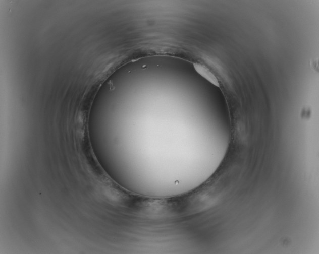 X0000092010121200709201538