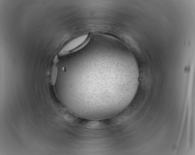 X0000092010123200709201538