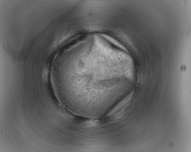 X0000092010124200709201538