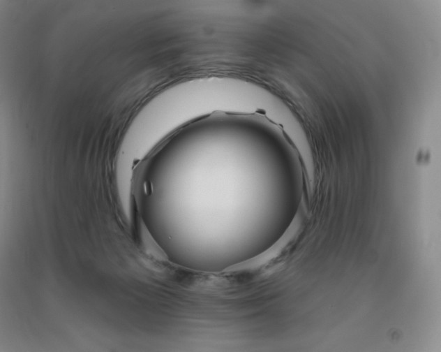 X0000092010125200709201538