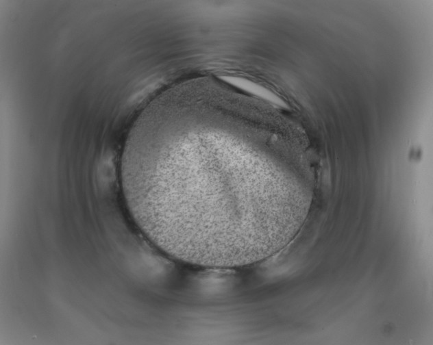 X0000092010128200709201538