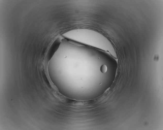 X0000092010129200709201538