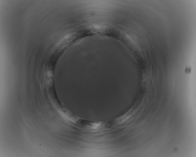 X0000092010130200709201538