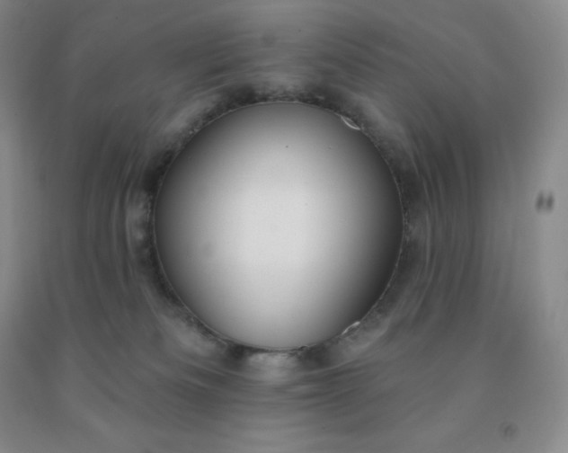 X0000092010133200709201538