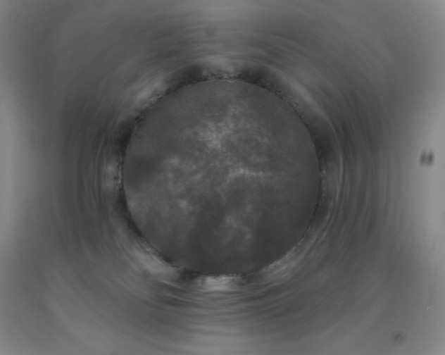 X0000092010134200709201538