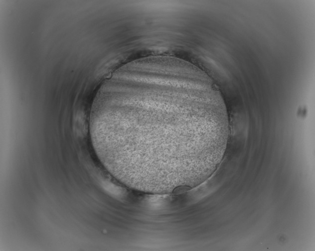 X0000092010136200709201538