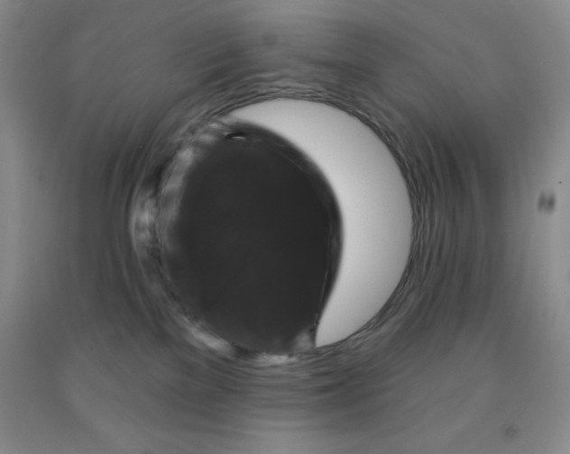 X0000092010137200709201538