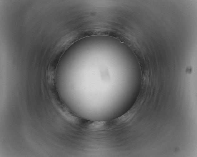 X0000092010138200709201538