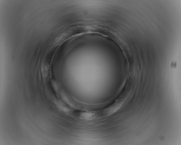 X0000092010139200709201538