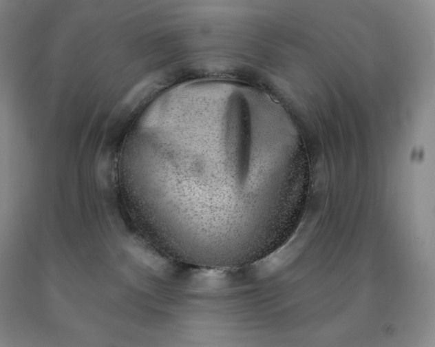 X0000092010140200709201538