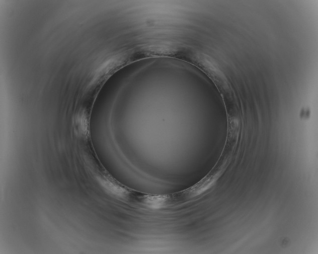 X0000092010143200709201538