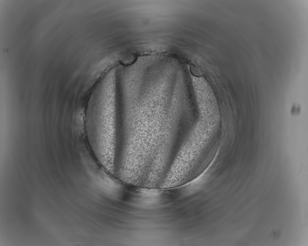 X0000092010144200709201538