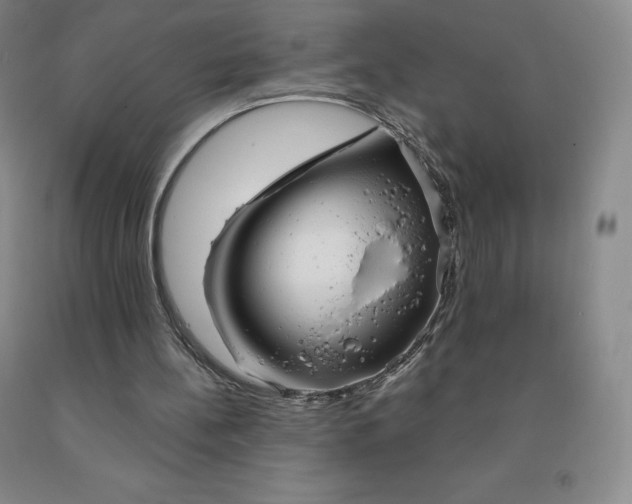 X0000092010148200709201537