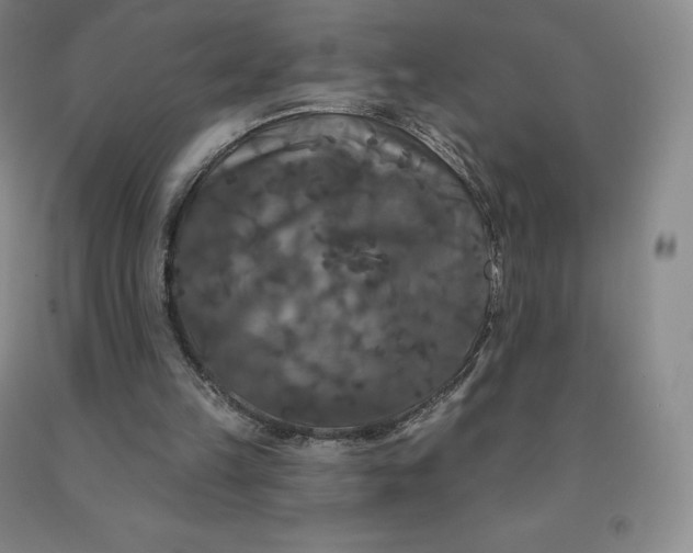 X0000092010149200709201538