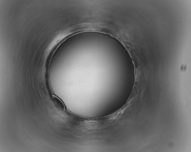 X0000092010150200709201538