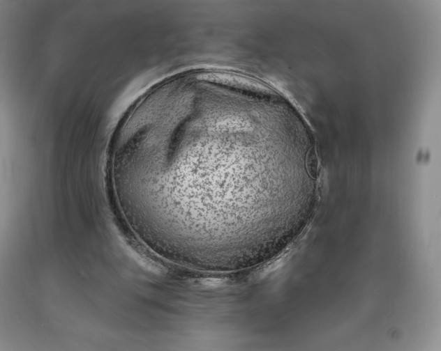 X0000092010151200709201538