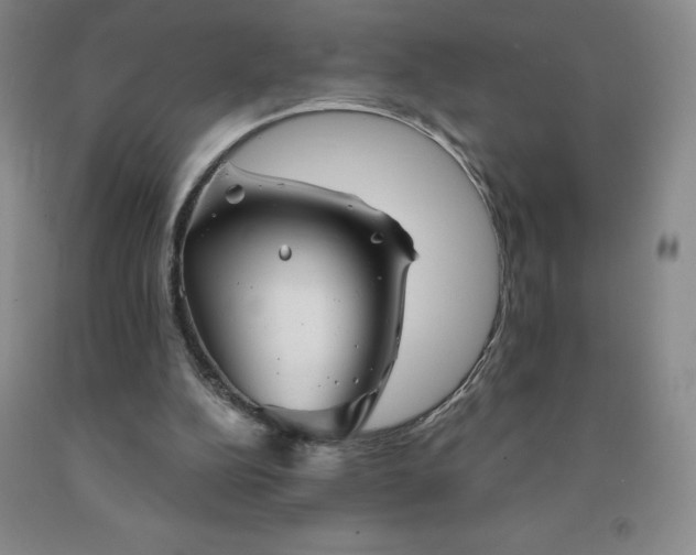 X0000092010152200709201538