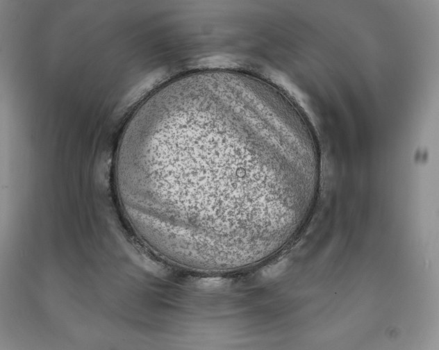 X0000092010153200709201538