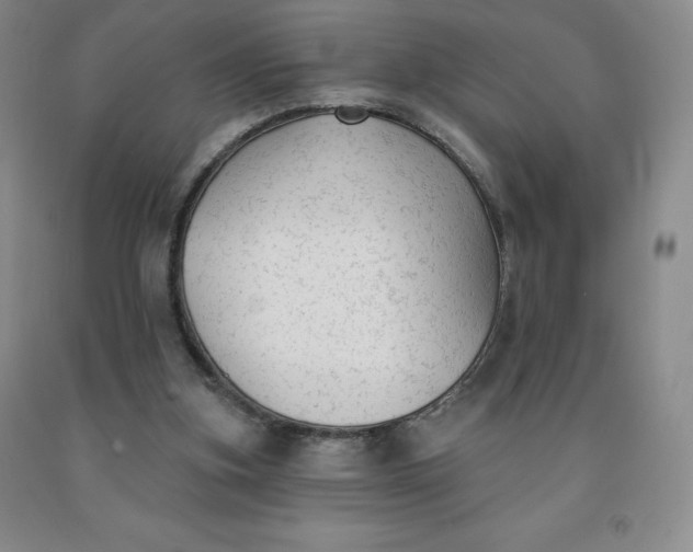 X0000092010155200709201538