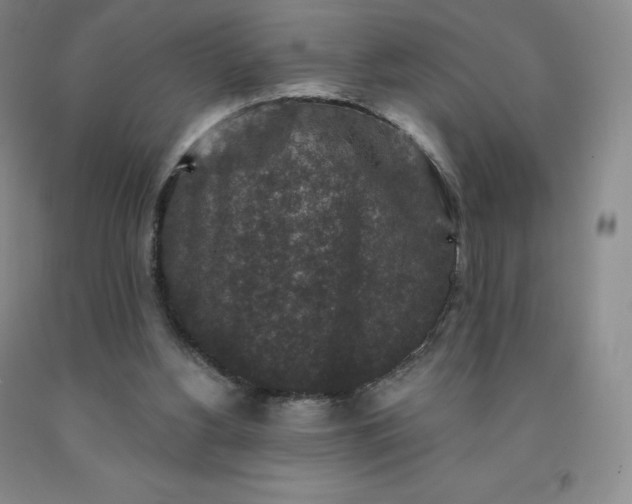 X0000092010156200709201538