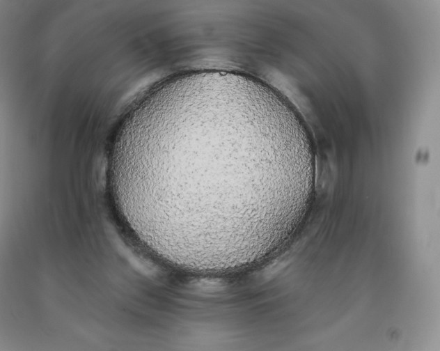 X0000092010157200709201538