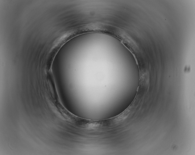 X0000092010158200709201538