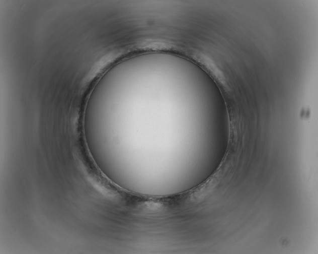 X0000092010159200709201538