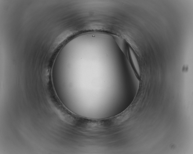 X0000092010160200709201538