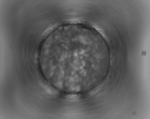 X0000092010161200709201538