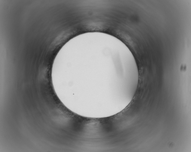 X0000092010162200709201538