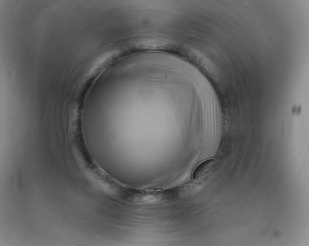 X0000092010163200709201538