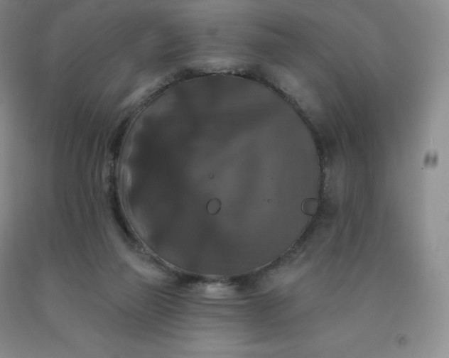 X0000092010165200709201538