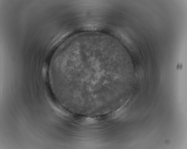 X0000092010166200709201538