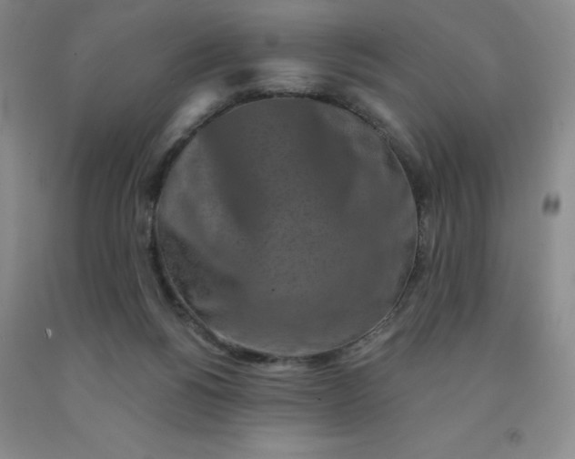 X0000092010168200709201538