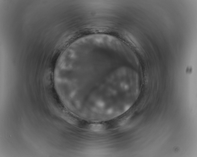 X0000092010169200709201538