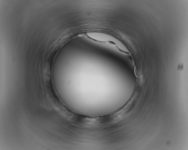 X0000092010170200709201538