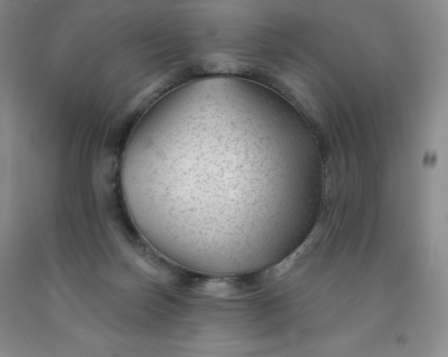 X0000092010171200709201538