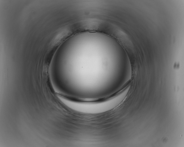 X0000092010172200709201538