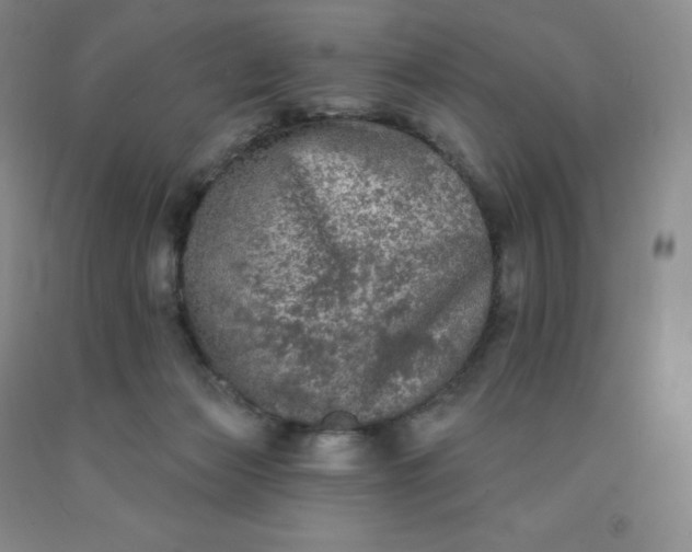 X0000092010173200709201538