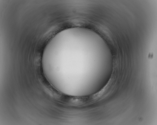 X0000092010174200709201538