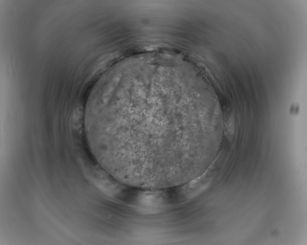 X0000092010175200709201538