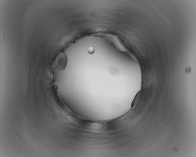 X0000092010176200709201538