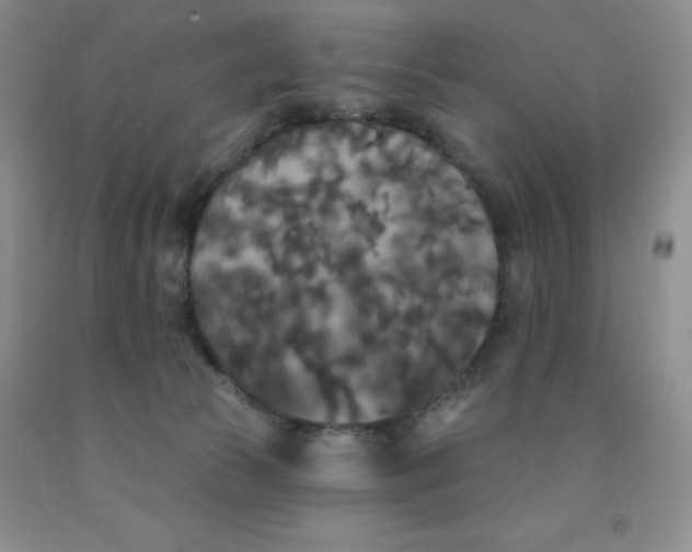 X0000092010177200709201538