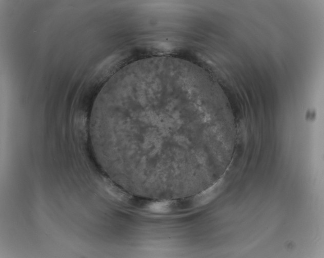 X0000092010178200709201538