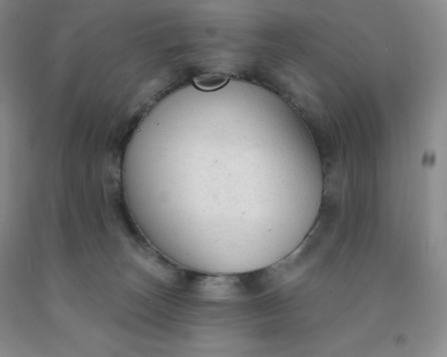 X0000092010179200709201538