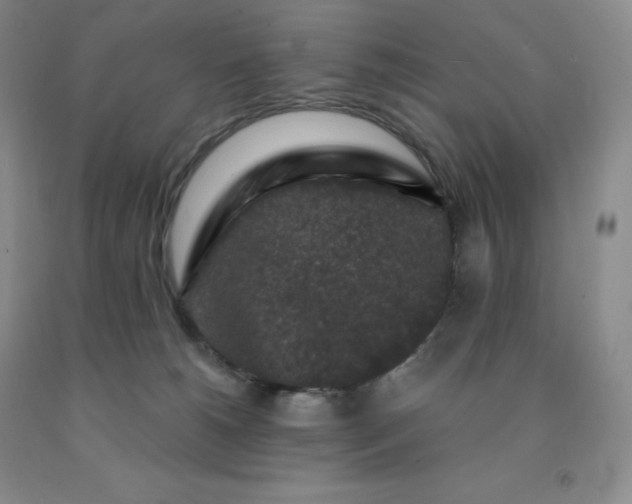 X0000092010180200709201538