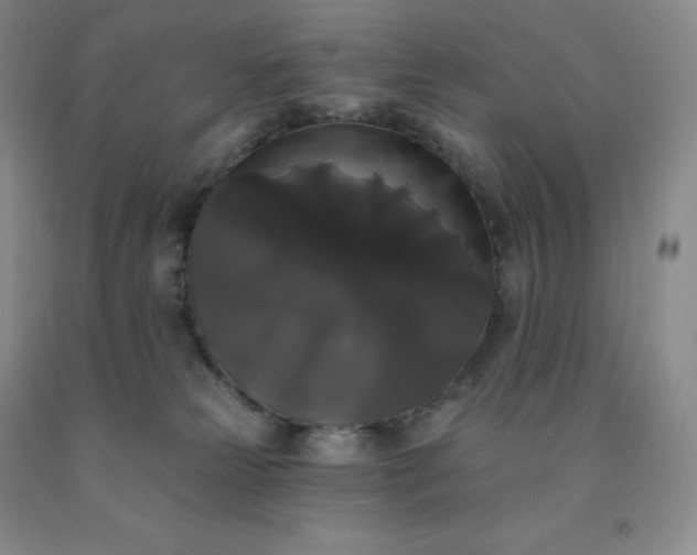 X0000092010181200709201538