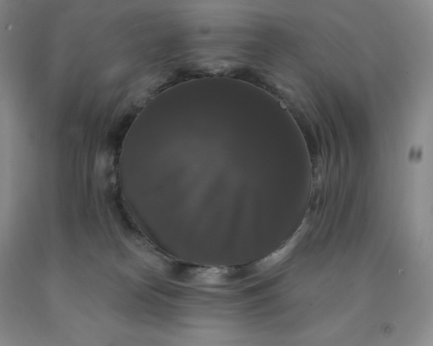 X0000092010182200709201538