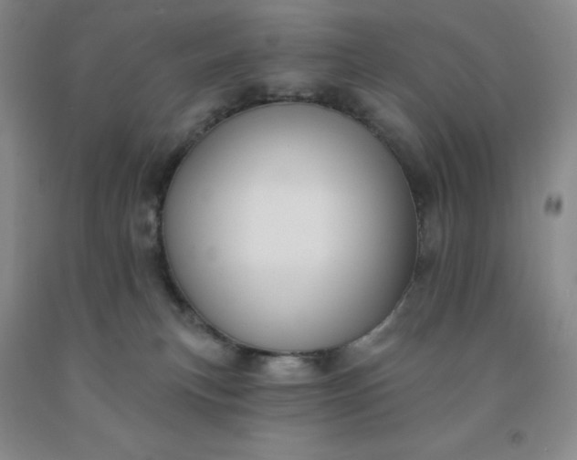 X0000092010183200709201538